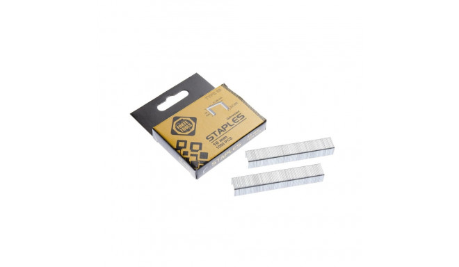 STAPLES 53/10 MM 1010