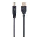 GEMBIRD CCP-USB2-AMBM-6 Gembird USB 2.0 A- B 1,8m cable black color
