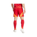 Adidas Tiro 24 Competition Training M shorts IK2245 (XL)