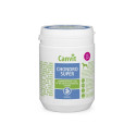 Canvit Chondro Super toidulisand koertele 500g