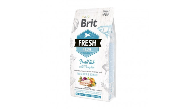 Brit Fresh Fish & Pumpkin Adult Large Muscles & Joints complete food for adult dogs 2,5 kg
