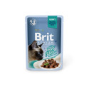 Brit Premium Cat Delicate Beef Fillets in Gravy wet cat food 85g