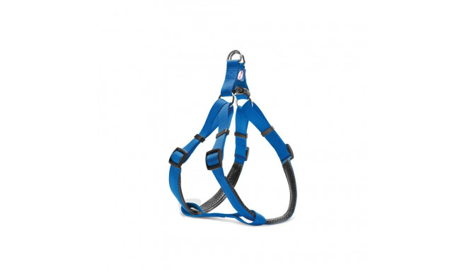 Record blue harness for dogs M