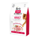 Brit Care Cat Grain-Free Adult Activity Support complete food for cats 2kg