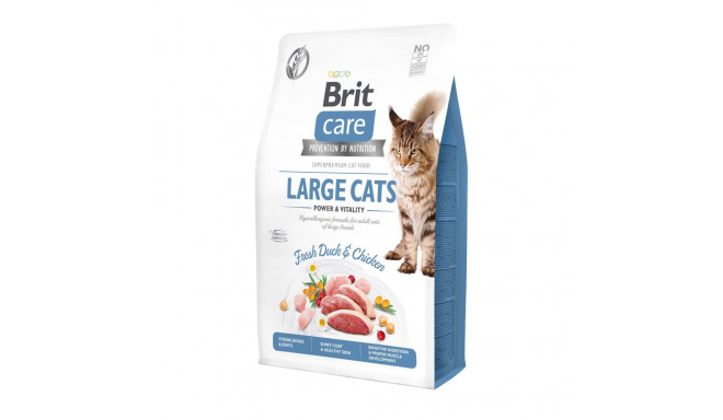 Brit Care Cat Grain-Free Large Cats Power Vitality complete food for cats 2kg