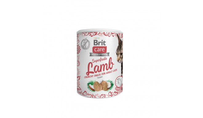 Brit Care SuperFruits Lamb snack for cats 100g