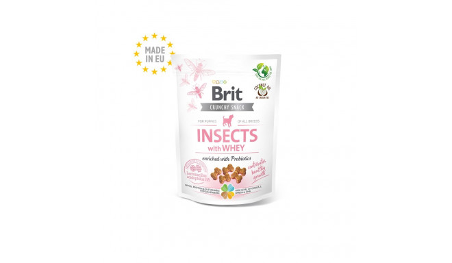 Brit Care Insects with Whey närimismaius kutsikatele 200g