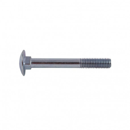 BOLT (DIN603 20 PIECES M6X30 ZN)