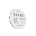 TESLA Lithium battery CR2025[5x120]