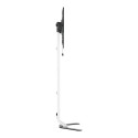 TECHLY Super Slim Floor Stand for LCD / LED / Plasma TV from 32 inch to 70inch