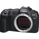 Canon EOS R8 + RF 24-240mm f/4-6.3 IS USM