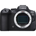 Canon EOS R6 Mark II + RF 24-240mm f/4-6.3 IS USM