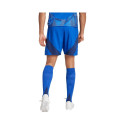 Adidas Tiro 24 Competition Training M shorts IQ4755 (XL)