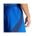 Adidas Tiro 24 Competition Training M shorts IQ4755 (2XL)