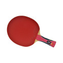 Atemi 2000 table tennis bats