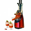 Slow juicer SJV801