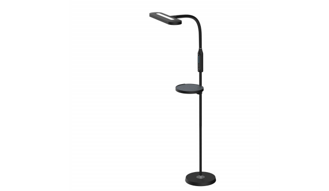 Tiross põrandalamp 15W TS-2249