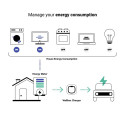 Аттенюатор мощности Power Boost Wallbox 100A/EM112