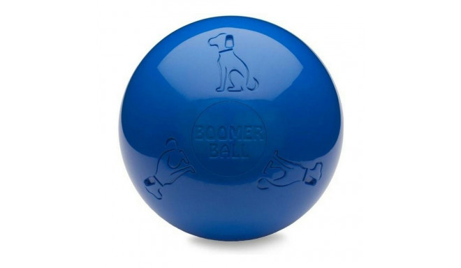 Koera mänguasi Company of Animals Boomer Sinine (250mm)