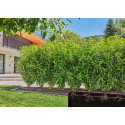 Gardena Micro-Drip-System drip irrigation hedges/bushes set, 50 meters, drippers (black, model 2023,