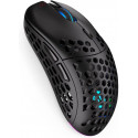 ENDORFY LIX Wireless, gaming mouse (black)