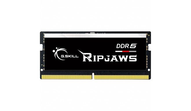 G.Skill RAM DDR5 16GB 5600 CL 40 (1x16GB) Single Black (F5-5600S4040A16GX1-RS Ripjaws INT