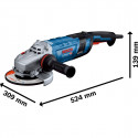 Bosch angle grinder GWS 30-230 B Professional (blue/black, 2,800 watts)