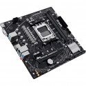 Asus mainboard Prime A620M-K AM5