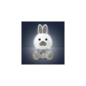 Chicco First Dreams Bunny Dreamlight baby night-light Freestanding White LED