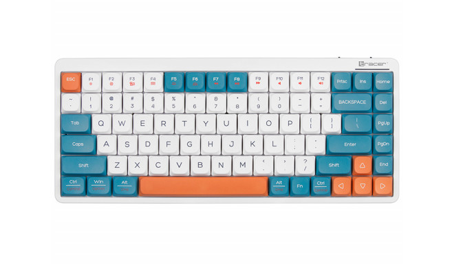 Tracer 47309 FINA 84 White/Blue (Outemu Red Switch)