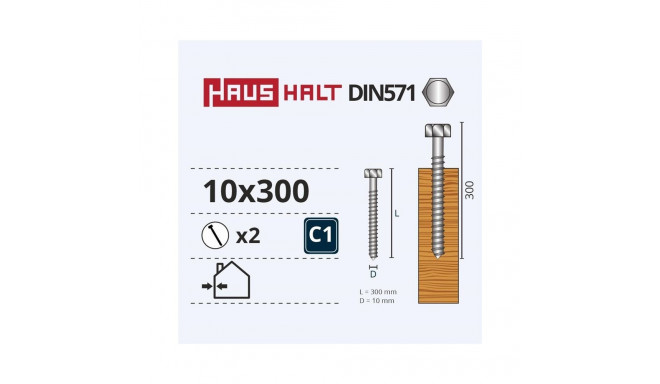 CHIPBOARD SCREW DIN571 10X300 MM 2PCS