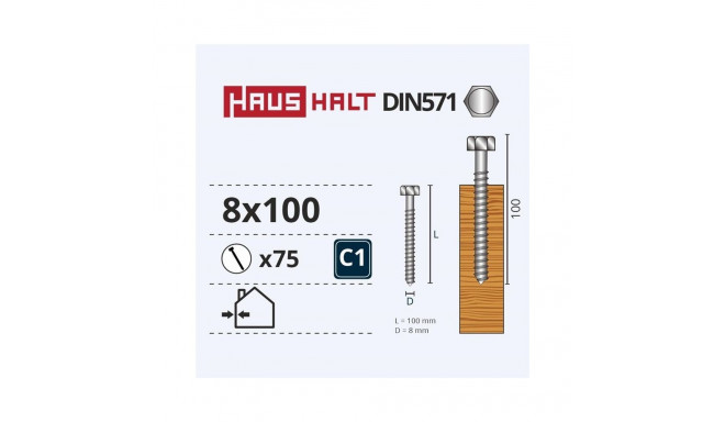 CHIPBOARD SCREW DIN571 8.0X100 WHITE ZN