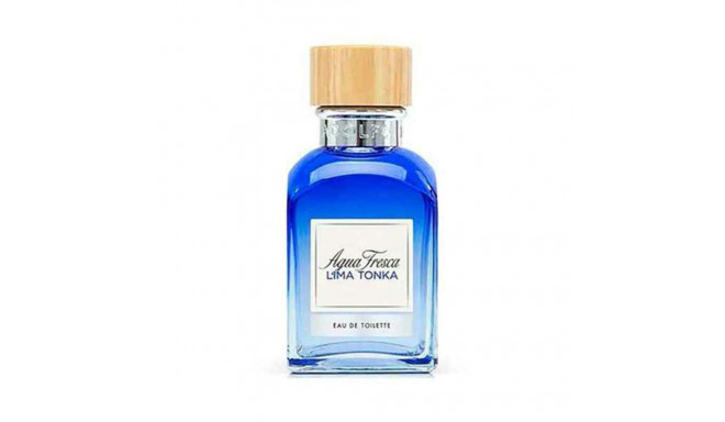 Meeste parfümeeria Adolfo Dominguez Adolfo Dominguez EDT 120 ml