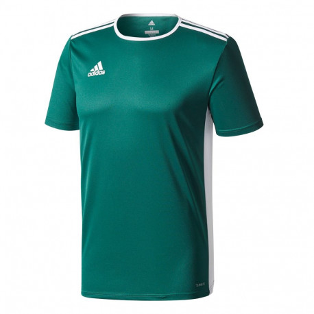 Koszulka dla dzieci adidas Entrada 18 Jersey JUNIOR zielona CE9563 128cm