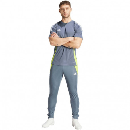 Adidas meeste püksid Tiro 24 Training IV6945 XL, hall