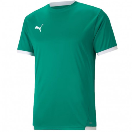 Puma meeste spordisärk teamLIGA Jersey 704917 05 XL, roheline