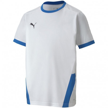 Puma laste särk teamGOAL 23 Jersey 704160 12 128cm, valge-sinine