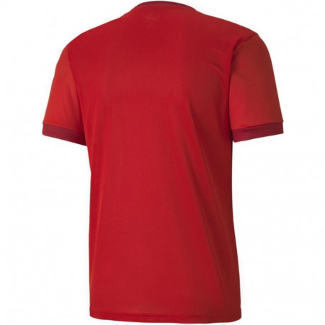 Puma meeste särk teamGOAL 23 Jersey 704171 01 XL, punane