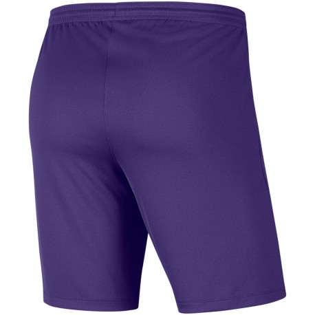 Nike laste lühikesed püksid Dry Park III NB K BV6865 547 L, lilla
