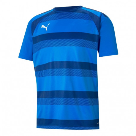 Puma meeste särk teamVISION Jersey 704921 02 L, sinine
