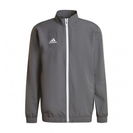 Adidas meeste esitlusjakk Entrada 22 H57535 L, hall