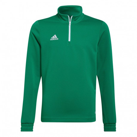 Adidas laste treeningpluus Entrada 22 Training Top HI2132 116cm, roheline