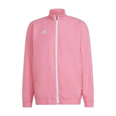 Adidas meeste jakk Entrada 22 Presentation Jacket HC5040 M, roosa