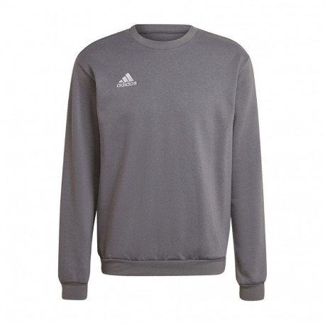 Adidas meeste pusa Entrada 22 Sweat Top H57479 XL, hall
