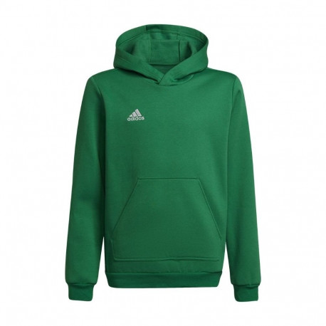 Adidas laste pusa Entrada 22 Hoody HI2143 116cm, roheline