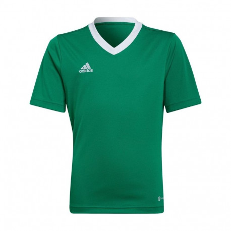 adidas laste särk Entrada 22 Jersey HI2126 116cm, roheline
