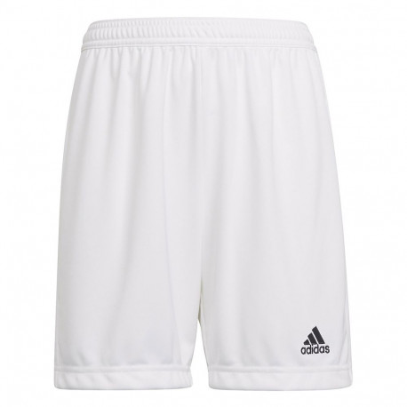 Adidas laste lühikesed püksid Entrada 22 HG6292 164cm, valge