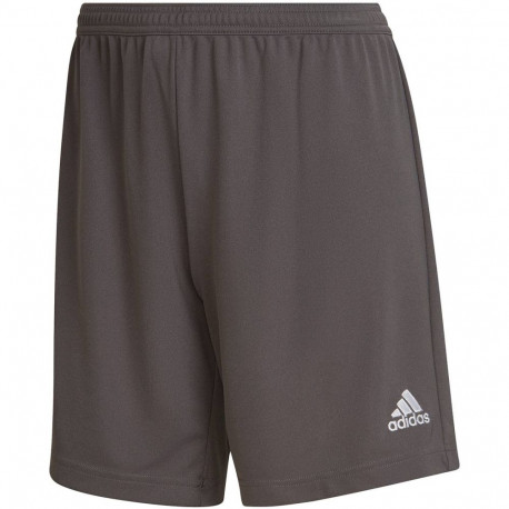 adidas naiste lühikesed püksid Entrada 22 HH9995 S, hallid