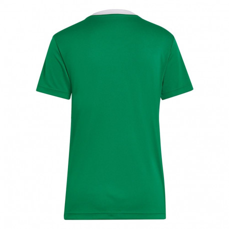 Adidas naiste särk Entrada 22 Jersey HI2124 XS, roheline