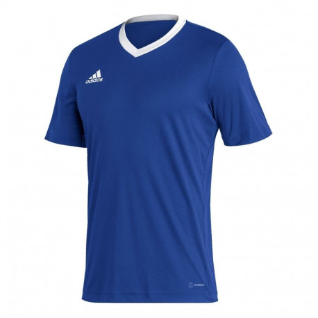 Adidas meeste särk Entrada 22 Jersey HG6283 L, sinine
